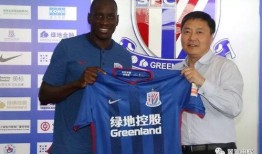 最后的申花最新爆料视频,揭秘球队备战细节与未来展望