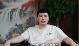 男作家刘枫爆料视频播放,作家爆料视频背后的故事